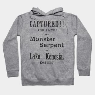 Danbury Cryptids Caught: Serpent of Kenosia! Hoodie